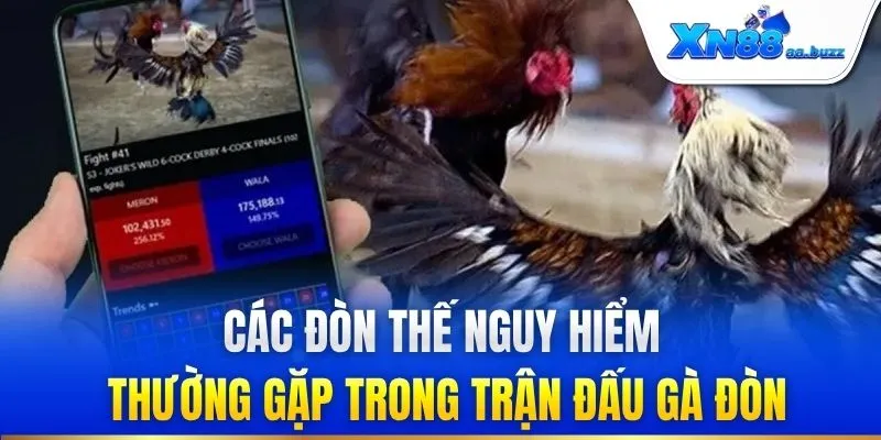 Các đòn thế nguy hiểm thường gặp trong trận đấu gà đòn