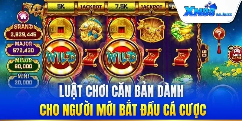 Luật chơi căn bản dành cho người mới bắt đầu cá cược