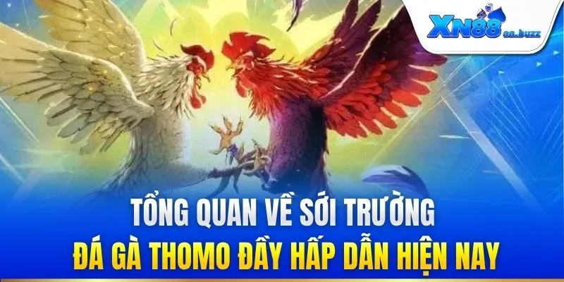 Tổng quan về sới trường đá gà Thomo đầy hấp dẫn hiện nay